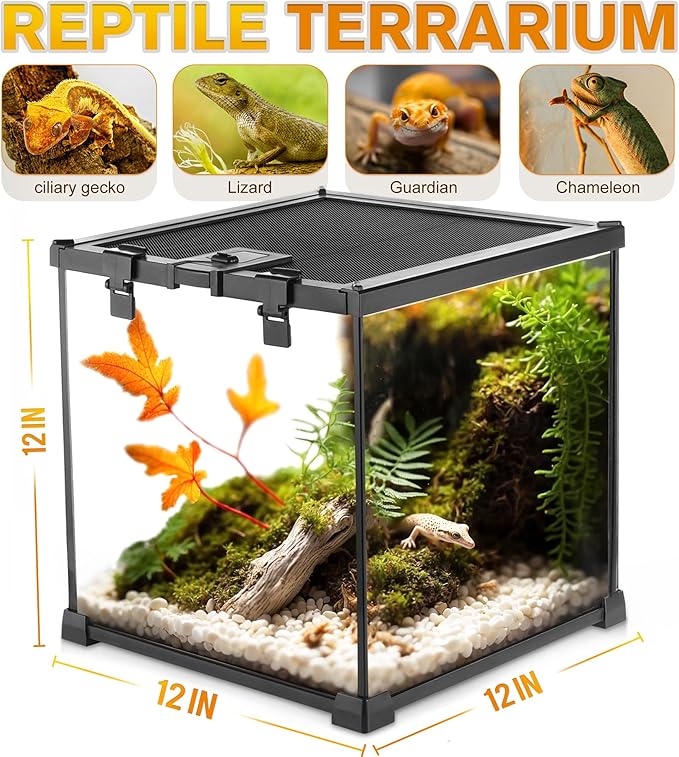 Mini Reptile Glass Terrarium Vivarium 12'' x 12'' x 12'' Full View Tank Small Amphibians Glass Habitat Cage with Feeding Slot & Box Lock Buckle