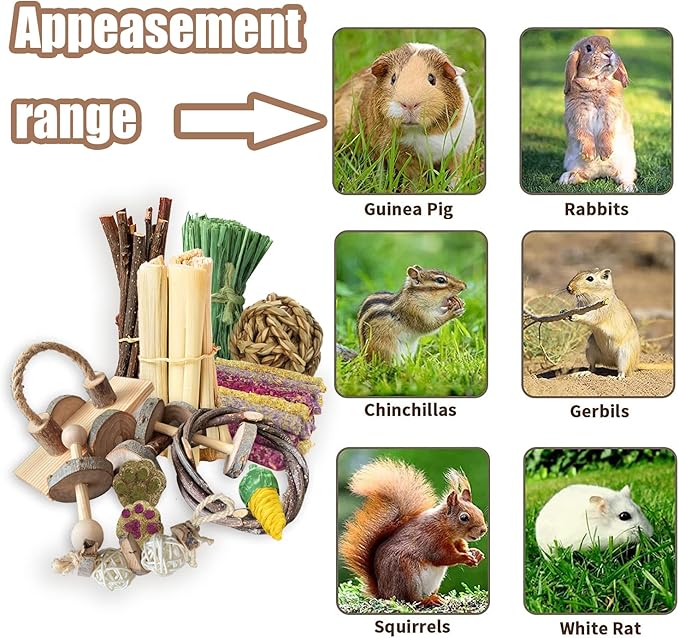 Guinea Pigs Toys, Wooden Rabbit Toys, Bunny for Exercise Molar Teeth Care, Best Choose for Gerbils, Rats, Birds, and Other Small Pets