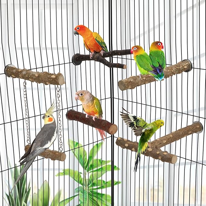 Hypeety Natural Wood Bird Perch for Parakeets 5PCS Perches for Cage Parrot Hanging Swing Bird Fork Perches Easy Install Chew Toys for Small Birds Cockatiels Conures Budgies Lovebirds Parakeets