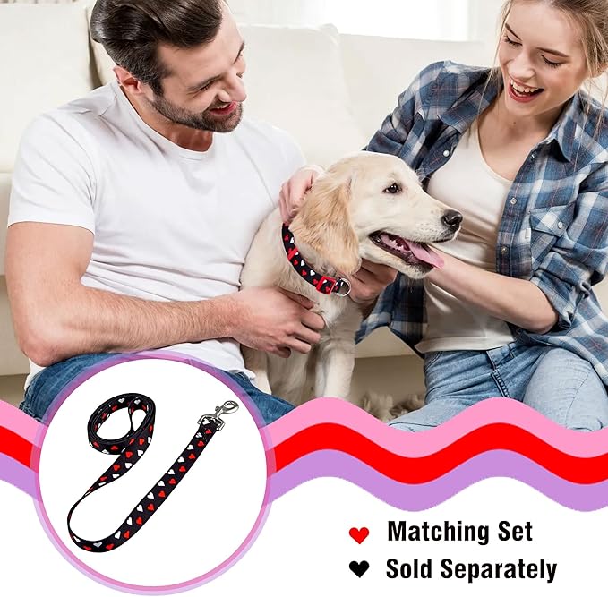 Native Pup Valentine’s Dog Collar- Valentines Day Pet Collars- Valentine Girly Hearts- Pink Red Heart- Cute Boy Girl Puppy Gift- Adjustable for Small, Medium, Large Breeds (White & Red Hearts, Large)