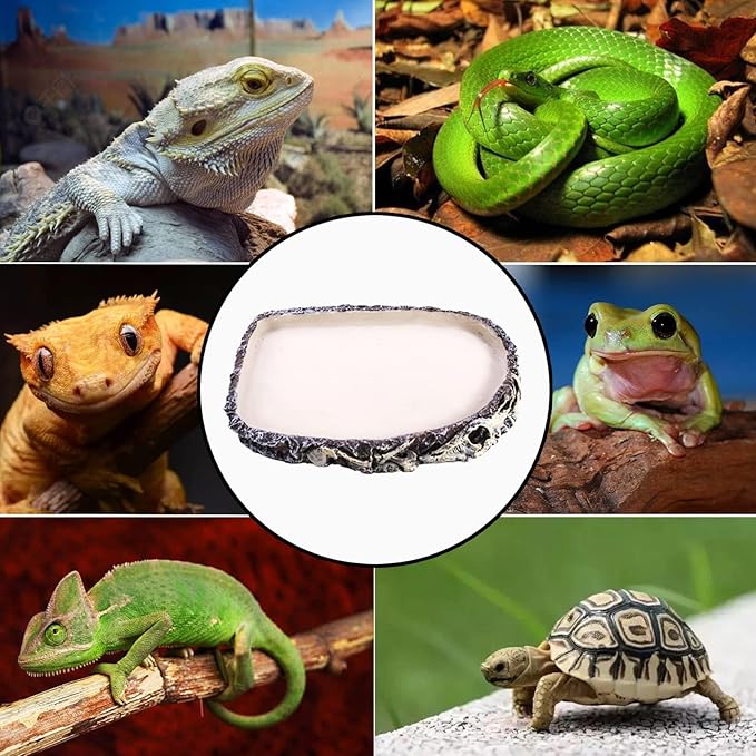 Tfwadmx Reptile Water Bowl, Reptile Feeding Dish, Bearded Dragon Water Dish, Turtle Feeding Bowl for Tortoises, Snakes, Lizards, Geckos, Chameleons