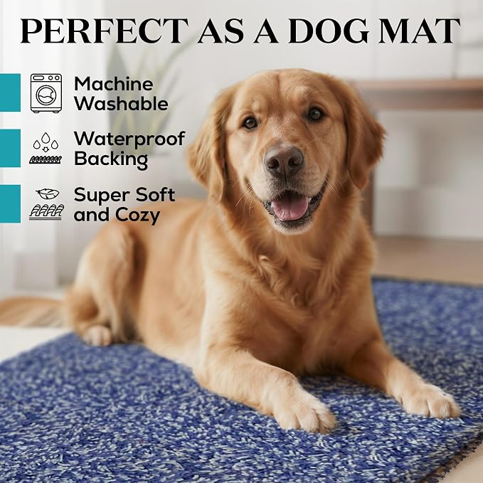 Premium Microfiber Indoor Door Mat – 32"x48" Washable Entry Mat, Waterproof
