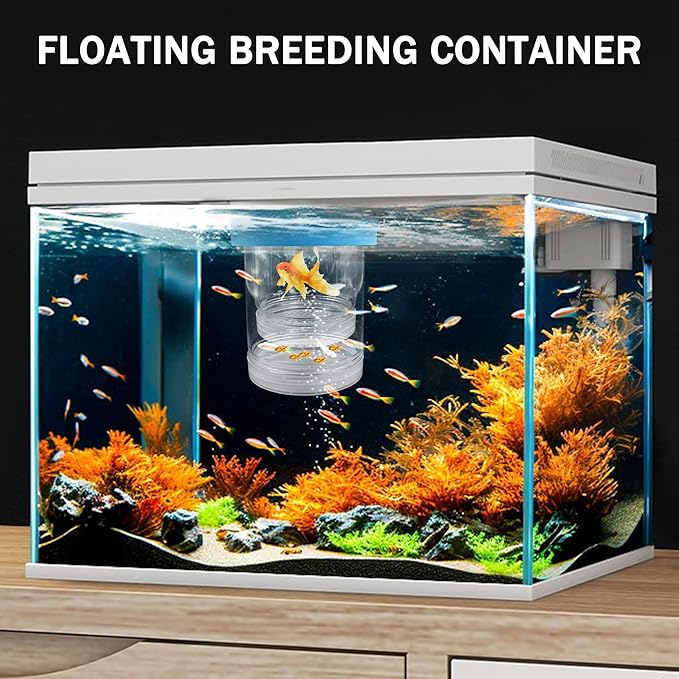 Small Floating Fish Breeding Box, Plastic Breeding Box for Fish Tank with Suction Cup, Clear Aquarium Divider Incubator, Adjustable Isolation Hatchery for Shrimp Guppy (Small)