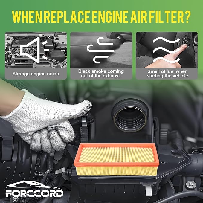 Cabin Air Filter and Engine Air Filter Fits