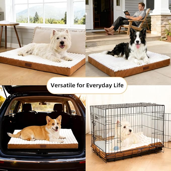 Orthopedic Dog Bed with Firm High-Density Egg Crate Foam Mattress,Soft Short Plush Surface Pet Beds,Machine Washable with Removable Cover & Non-Slip Bottom for Small Breeds(Brown, 23"L x 17"W x 3"H)