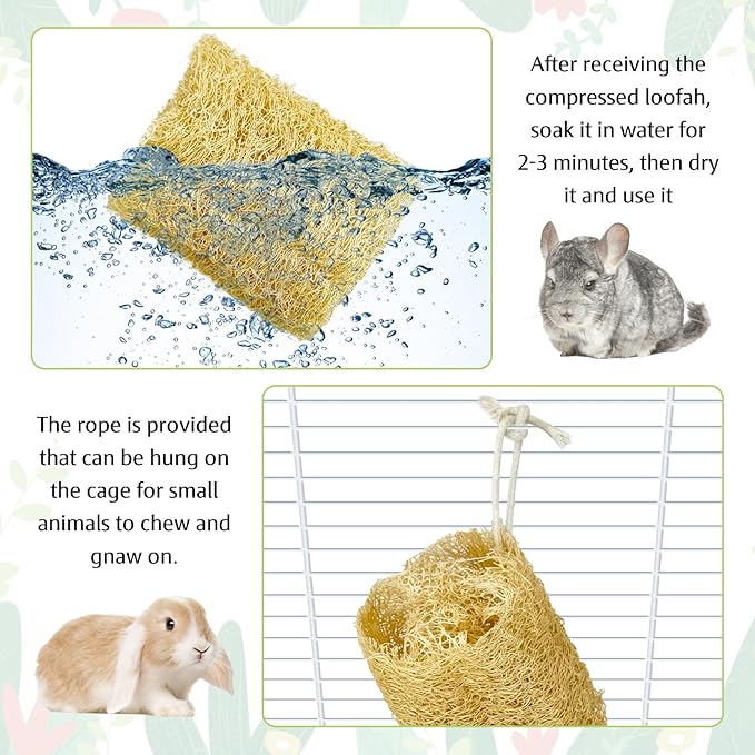BNOSDM Bunny Chew Toys Natural Loofah 6PCS Bunny Teeth Grinding Toy Rabbit Fiber-Rich Treats Pet Entertainment Accessories for Rabbits Chinchillas Guinea Pig(L)