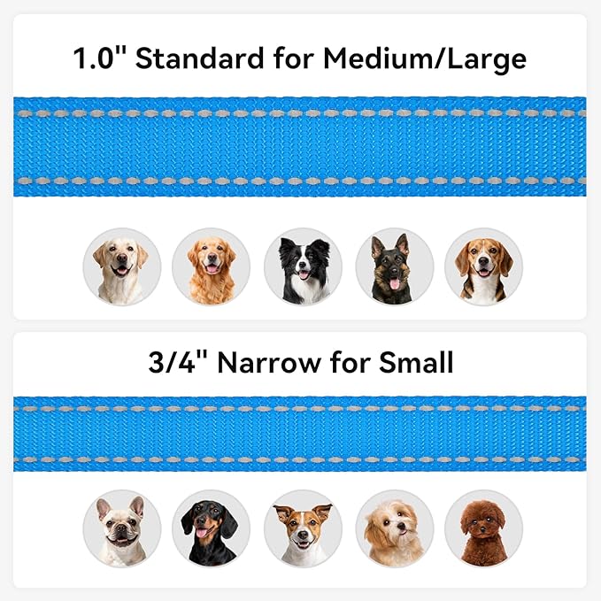 Joytale Dog Leash, 5 FT Double-Sided Reflective, Padded Handle Nylon Heavy Duty Leashes for Medium & Large Dogs Walking, Sky Blue