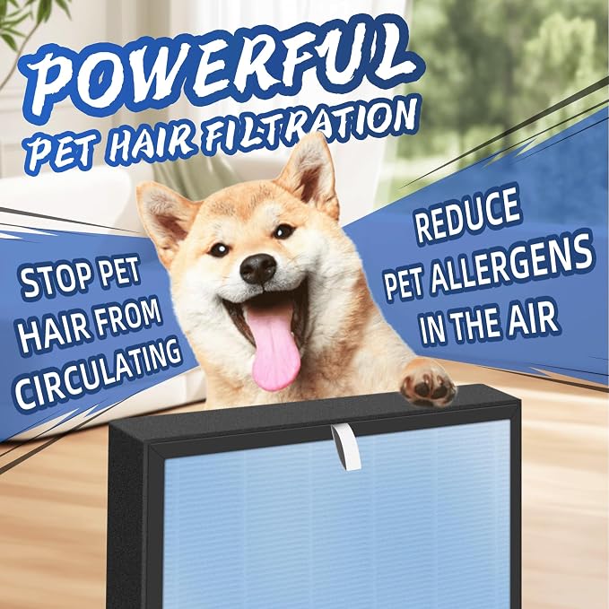 HSP001 True HEPA Filter Replacements