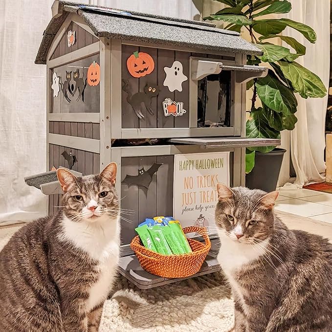 Aivituvin Outdoor Cat House,Two-Story Feral Cat Shelter,Weatherproof Cat Enclosure for Winter with Escape Doors