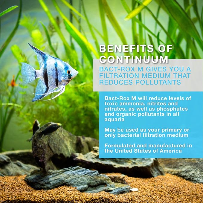 Continuum Aquatics Bact Rox M