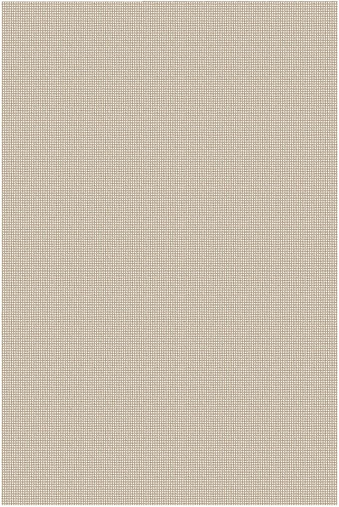 IOHOUZE Washable Area Rug 4x6 Non Slip Rubber Backed Woven Rugs