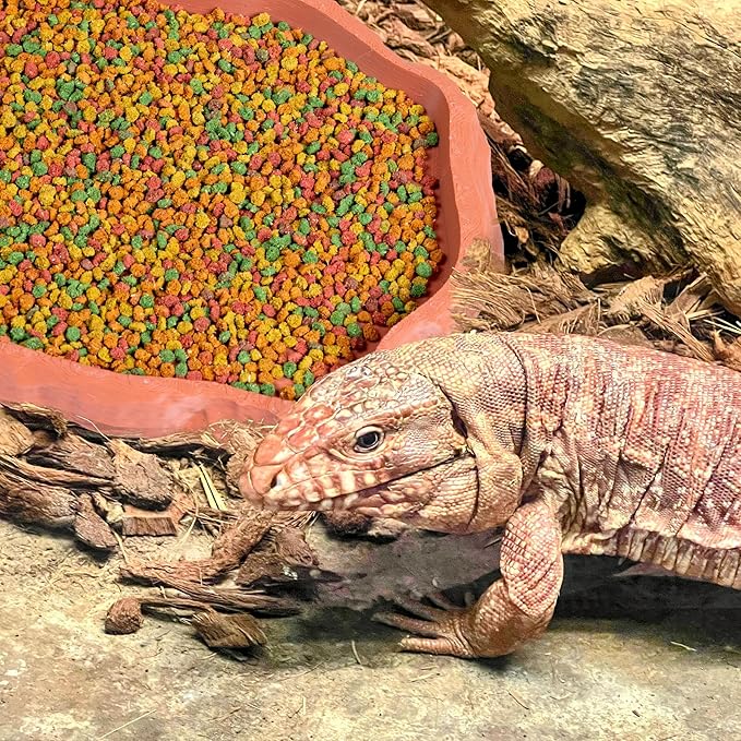 Gecko Cave Reptile Feeding Tray – Naturalistic Pet Dish for Lizards, Snakes, Bearded Dragons, Tortoises & Turtles - Terracotta