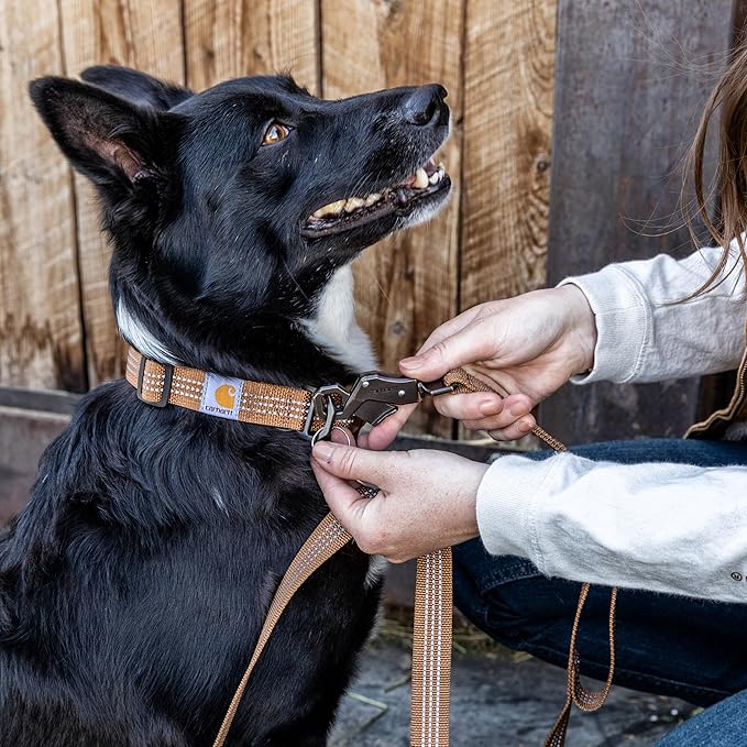 Carhartt Dual Handle Dog Leash, Durable Nylon Webbing Fabric W/Secure Metal Trigger Claw Clasp, Carhartt Brown, Large
