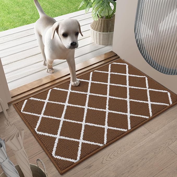 Finchitty Indoor Door Mat, Dirt Resistant and Absorbent, Low-Profile, Washable
