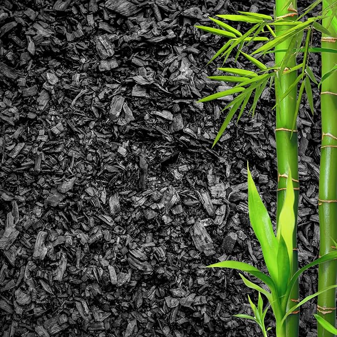 Horticultural Charcoal for Plants β Organic Bio Char Soil Amendment for Terrariums, Indoor Plants & Gardening, Made in USA (30 quarts)