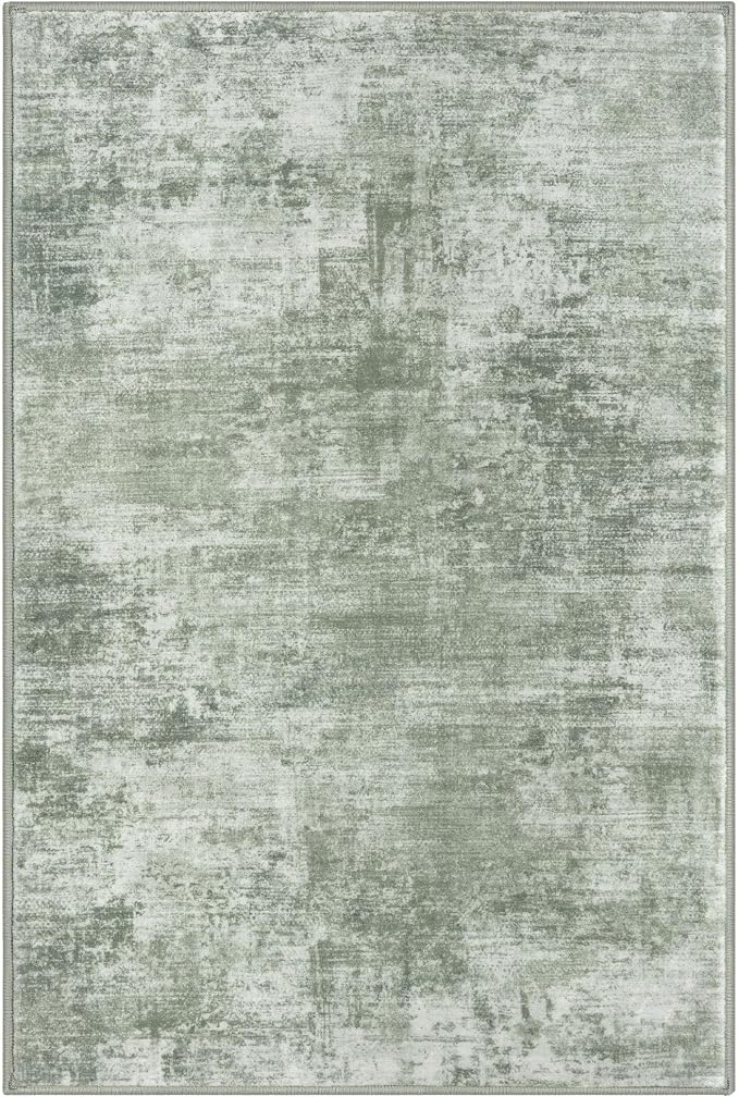 IOHOUZE Small Abstract Area Rug 2x3 Ft Entryway Rugs Washable Door Mat Indoor