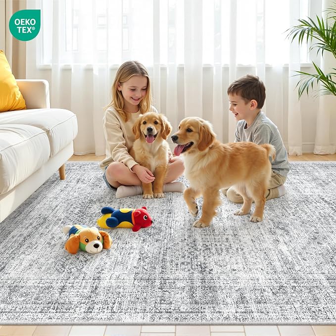 6x9 Rug for Living Room, Soft Low Pile Indoor Washable Rugs for Bedroom
