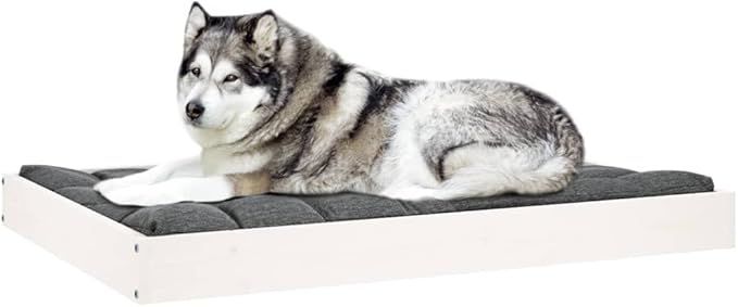 White Solid Pine Wood Elevated Dog Bed for Medium Dogs, 4-Piece Simple Design Pet Furniture with Cozy Spot and Durable Construction