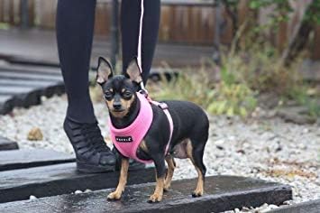 Puppia Soft Dog Harness No Choke Over-The-Head Triple Layered Breathable Mesh Adjustable Chest Belt and Quick-Release Buckle, Pink, Large