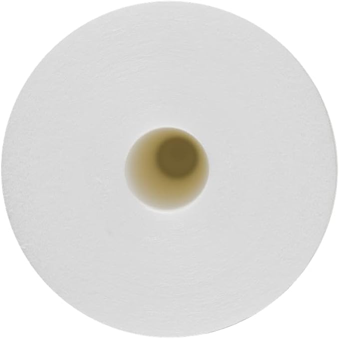 BLUONICS Sediment Replacement Water Filters Ten 4.5" x 20" Whole House