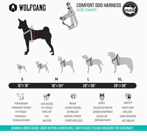 Wolfgang Heavy Duty Adjustable Dog Harness, Pull-Tested for Walking & Training, LazyDaisy Print, X-Large