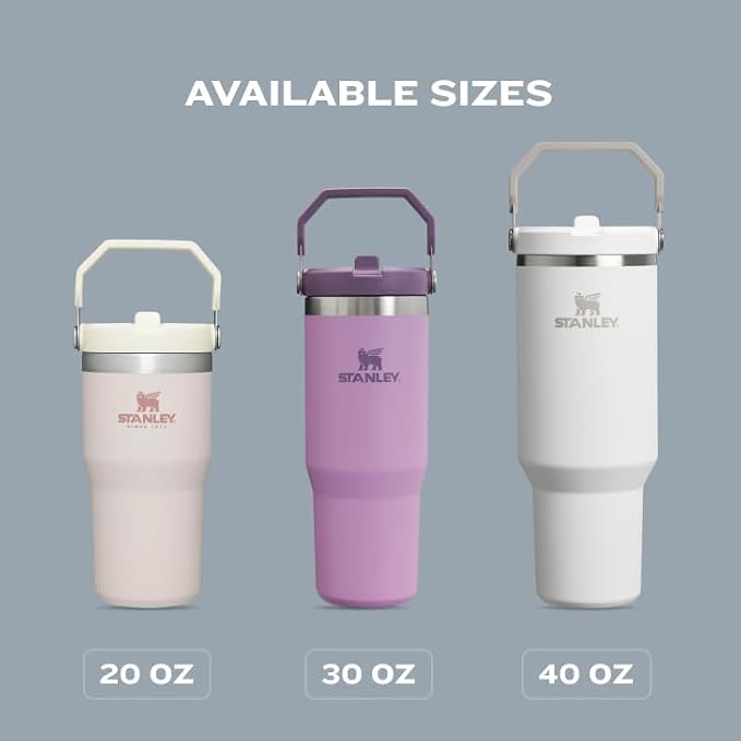 STANLEY IceFlow Flip Straw Tumbler