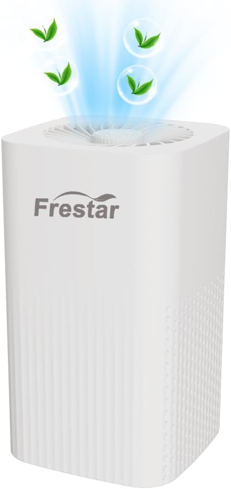 Small Air Purifier and Diffuser 2 in 1