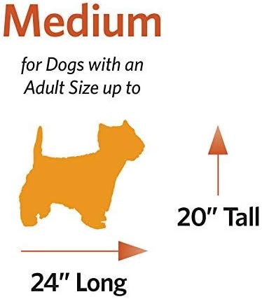MidWest Homes for Pets Quiet Time Teflon Defender Dog Beds; Pet Beds Designed to Fit Folding Metal Dog Crates, Brown & White Geometric Pattern, 30-Inch