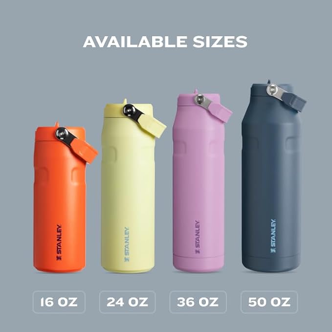 Stanley IceFlow Flip Straw 2.0 Water Bottle 24 OZ | Built-In Straw