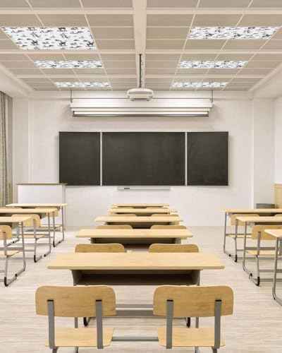 Black Western Cowboy Fluorescent Light Covers for Ceiling Lights 4x2 feet, 4-Pack Magnetic Light Filters for Classroom, Vintage Horse Cactus Ethnic Art Fluorescent Lights Shade Panel for Office School