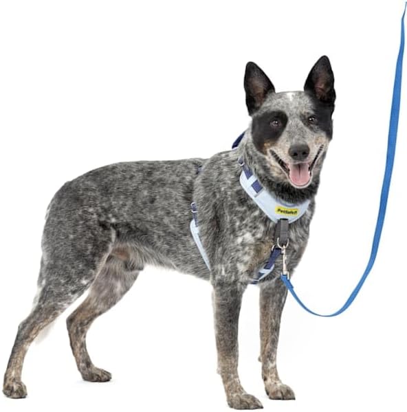 PetSafe Easy Walk Comfort No-Pull Dog Harness - Better Walk Training Harness - Full Body Padded Design - Durable Fabric - 5 Point Adjustable Fit - Everyday Leash Training - Blue - Medium/Large