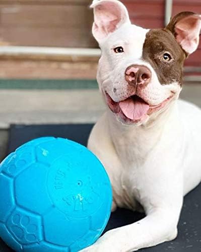 Jolly Pets Large Soccer Ball Floating-Bouncing Dog Toy, 8 inch Diameter, Ocean Blue
