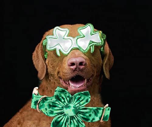 Lionheart Glory St. Patrick's Day Dog Collar, Dog Collar with Flower, Cute Floral Pattern Pet Collars Adjustable Pet Collars for Small Dogs