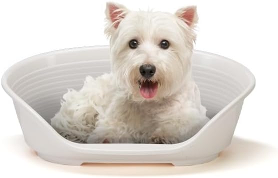 Ferplast Cat Bed, Plastic Dog Bed Small, Ventilation Holes and Non-Slip Rubber Feet for Added Stability 61,5 x 45 x h. 21.5 cm. White
