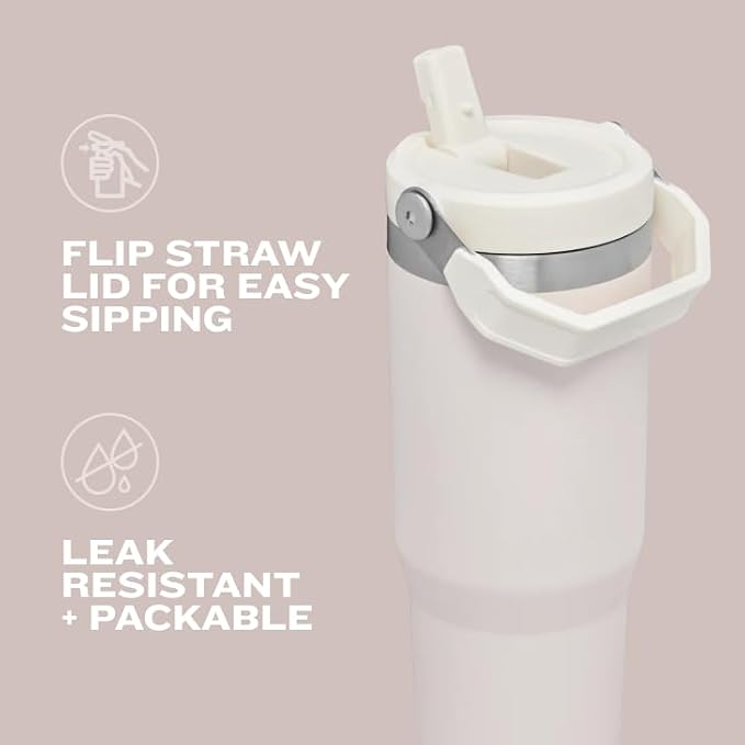 STANLEY IceFlow Flip Straw Tumbler