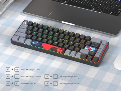Black and Grey Mechanical Gaming Keyboard 65%, 68 Keys Small Wired RGB Keyboard with PBT Keycaps, Anti-Ghosting for Game/Office