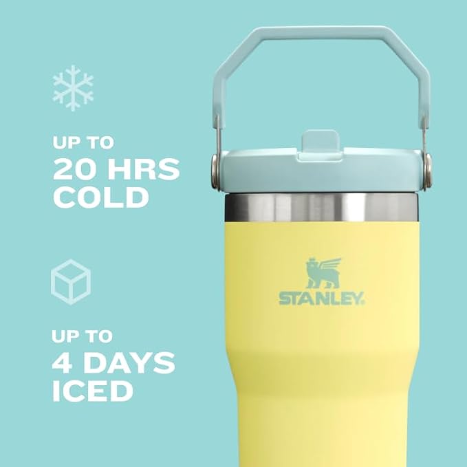 STANLEY IceFlow Flip Straw Tumbler