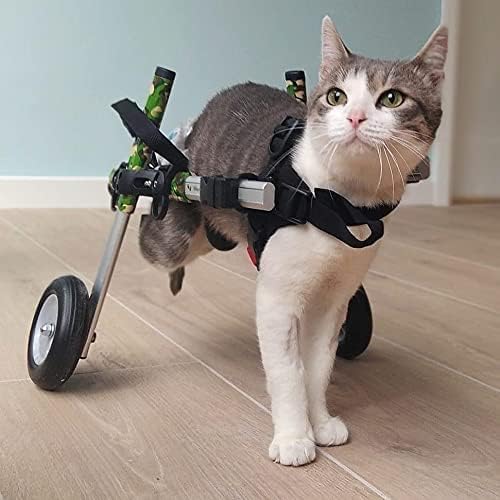 Walkin' Wheels Lightweight – for Small Cats 2 to 20 Pounds – Veterinarian Approved – Cat Wheelchair for Back Legs, for Cats 11-20 lbs, 7-8 inches Leg Height – Seafoam