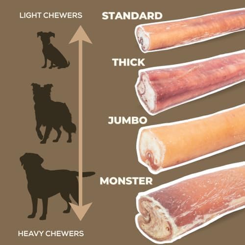 Bully Bunches Premium 6 Inch Thick Odour-Free Bully Sticks for Small & Medium Dogs - Consistently Sized, Long Lasting Chews for Oral Care - All Natural & Single Ingredient, 100% Beef Dog Treat (5 Pk)