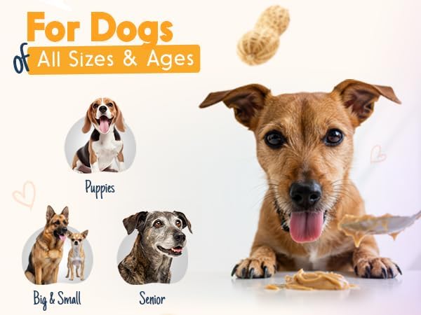 BUDDY BUDDER Barkin Banana + Pumpkin Pup, 100% All Natural Dog Peanut Butter, Peanut Butter Dog Treat, Made in USA (Set of 2 | 17oz ea)