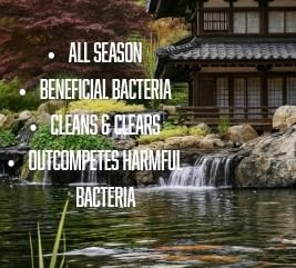 Koi Pharma® Pure Year-Round Bacteria Pro – All-Season Beneficial Pond Bacteria for Clear Water, Sludge Control & Healthy Koi and Goldfish (4 Pound)