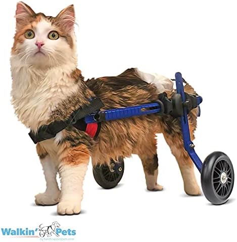 Walkin' Wheels Lightweight – for Small Cats 2 to 20 Pounds – Veterinarian Approved – Cat Wheelchair for Back Legs, for Cats 2-10 lbs, 6-8 inches Leg Height – Blue