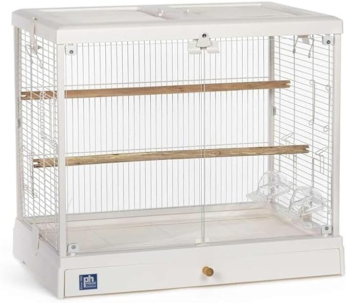 Maykoosh Modern Minimalism Charming Bird Cage with Elegant Design, Intricate Details, and Spacious Interior for Birds