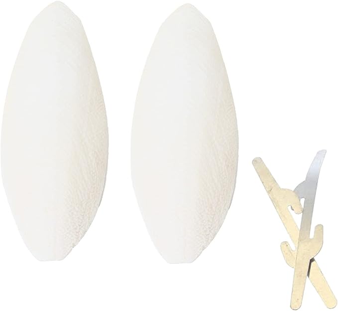 emours Natural Cuttlefish Bone for Reptiles, Tortoises, Tortoise, Snails, Birds and Small Animals (5.5-6 inch (Pack of 2))