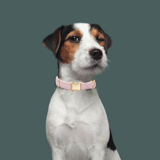 Soft Cotton Hemp Dog Collar with Metal Buckle Adjustable Twilled Dog Collars for Female Small Medium Large Dogs(Pink,Large)