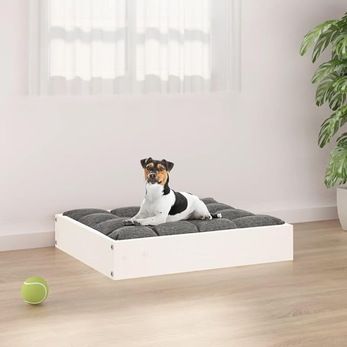 Small Dog Bed, Solid Pine Wood Elevated Pet Bed Frame, Rectangular Minimalist Raised Bed for Small Dogs, Indoor Pet Furniture, White