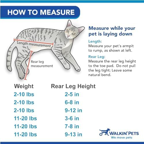 Walkin' Wheels Lightweight – for Small Cats 2 to 20 Pounds – Veterinarian Approved – Cat Wheelchair for Back Legs, for Cats 11-20 lbs, 3-6 inches Leg Height – Pink