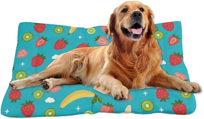 Mixed Fruit Turquoise Blue Pets Bed Dog Bed Mats Pad for Dog Crate Washable Beds for Crates Washable Non-Slip Crate Liner Pad Medium Cage Mat Kennel Accessories Indoor Outdoor 36X24 Inch
