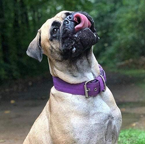 Heavy Duty Tactical Dog Collar - 1.5" Width Military Durable Thick Nylon with Adjustable Metal D Ring & Buckle Working Training K9 Collar for Medium Large Dogs (XL(23"-26"), Purple)