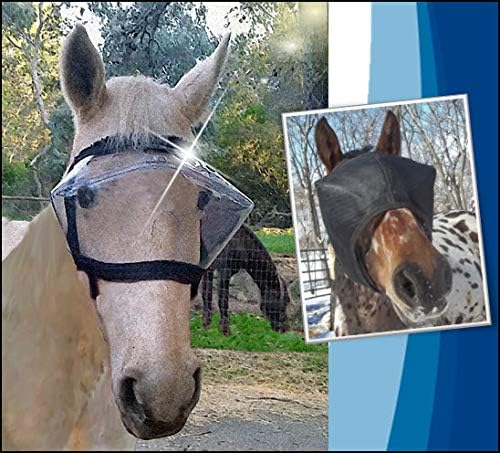 Recovery Vizor (Size Mini/Foal - Clear UV Tint) Medical and Preventative Horse Eye (Goggle) Protection Mask for Uveitis/Injury/Scratch or Corneal Ulcer, Infection, Blindness, Photosensitivity